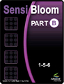 AN Sensi Bloom Part B